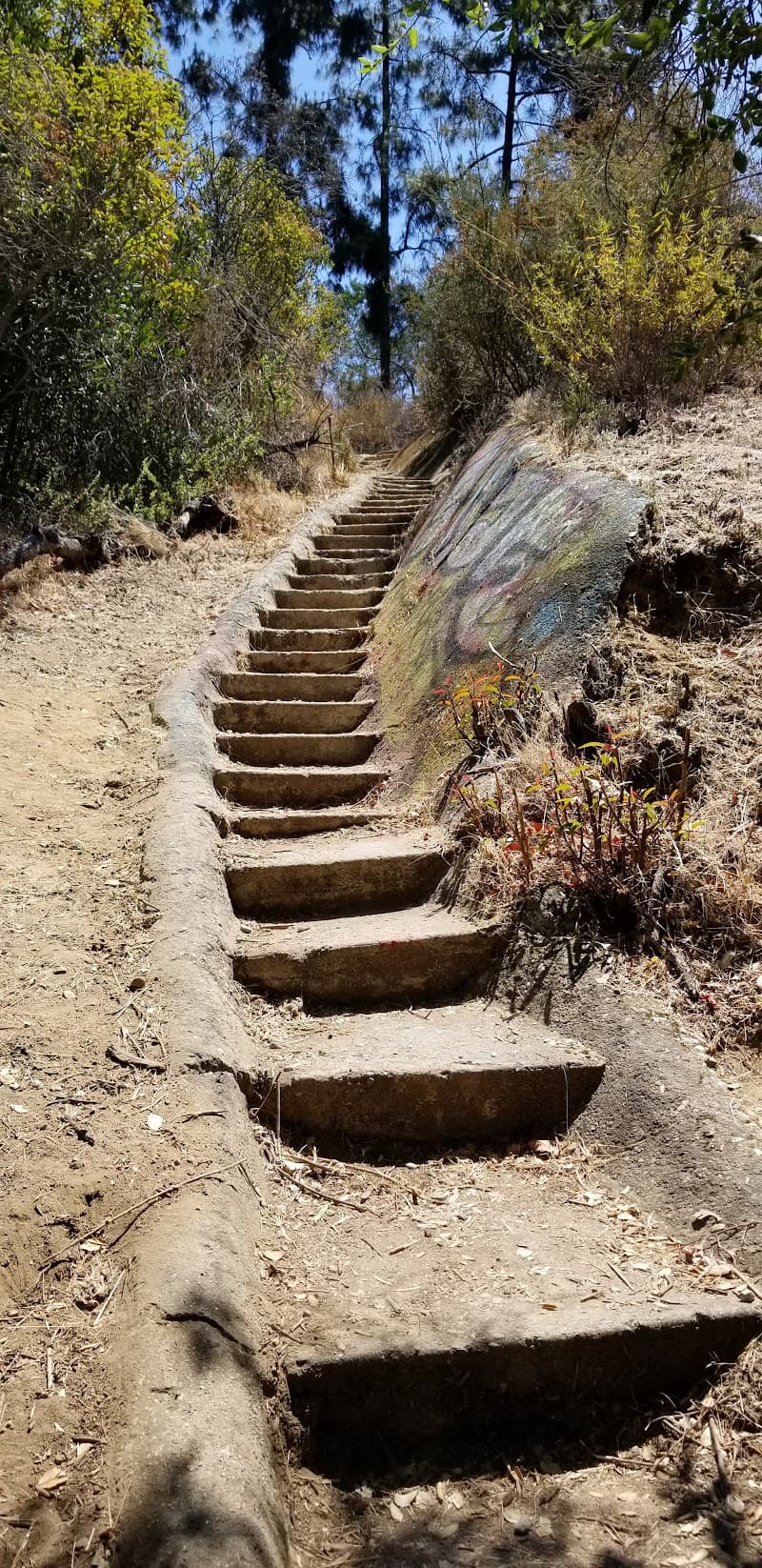 Rustic Canyon restaurant