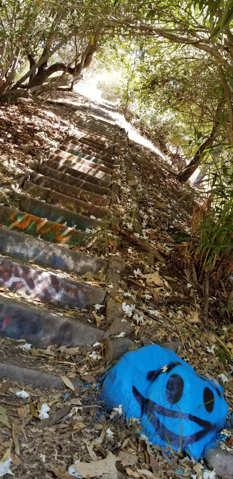 Rustic Canyon photo 5